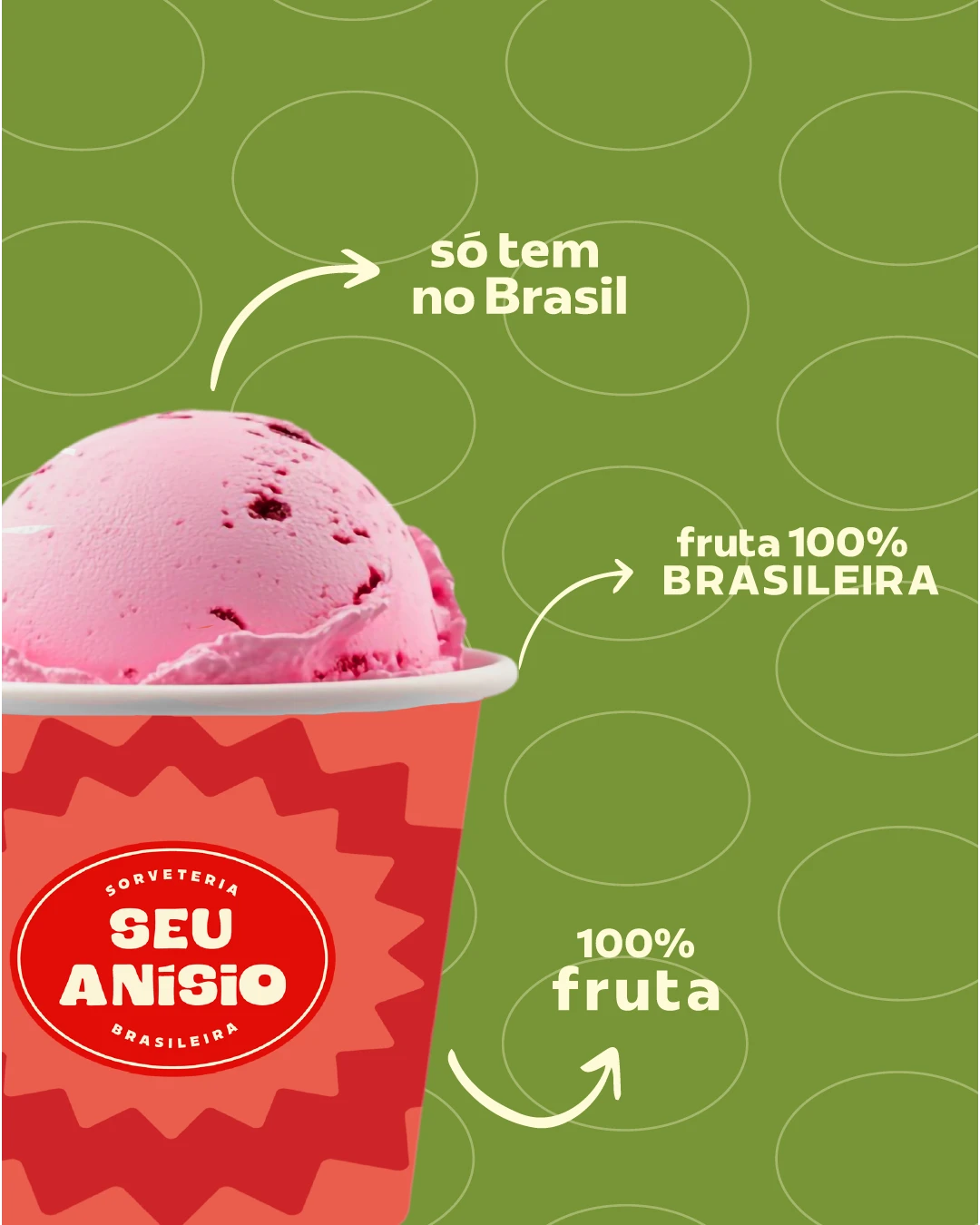 SEU ANÍSIO, imagem 4