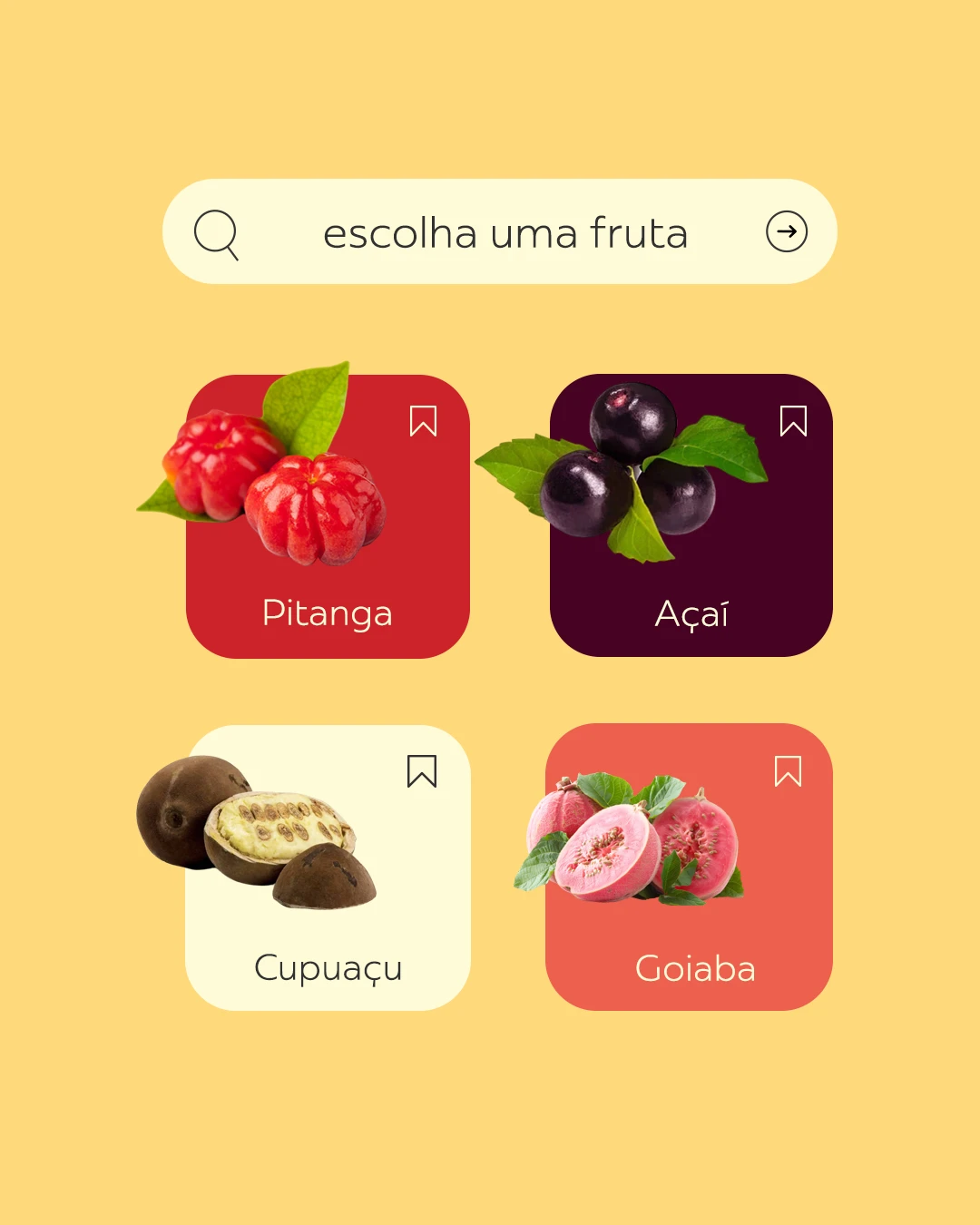 SEU ANÍSIO, imagem 7