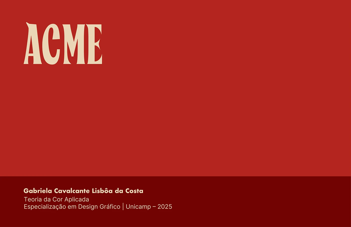 ACME — Brandbook, imagem 17